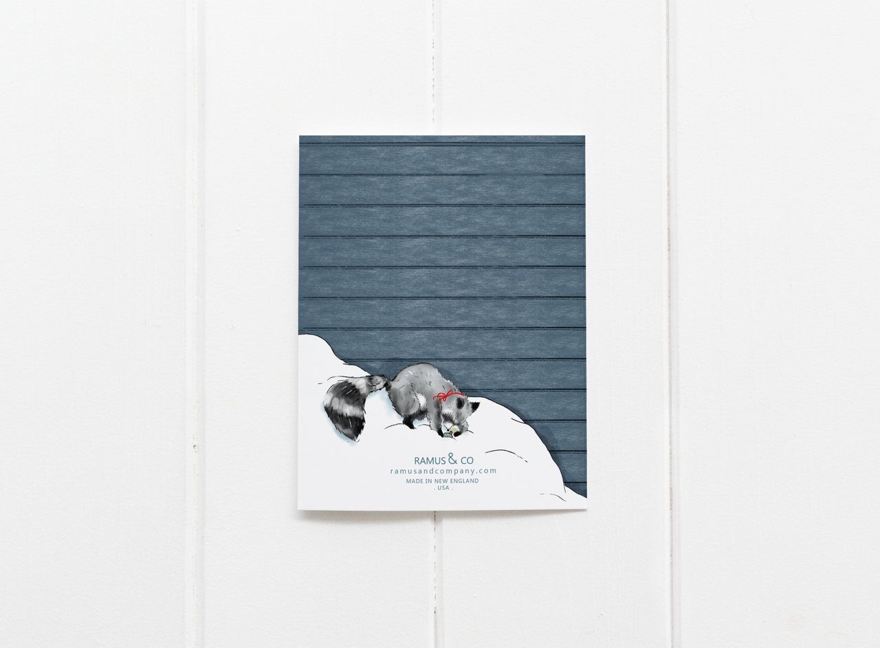 Raccoon's Gift Greeting Card