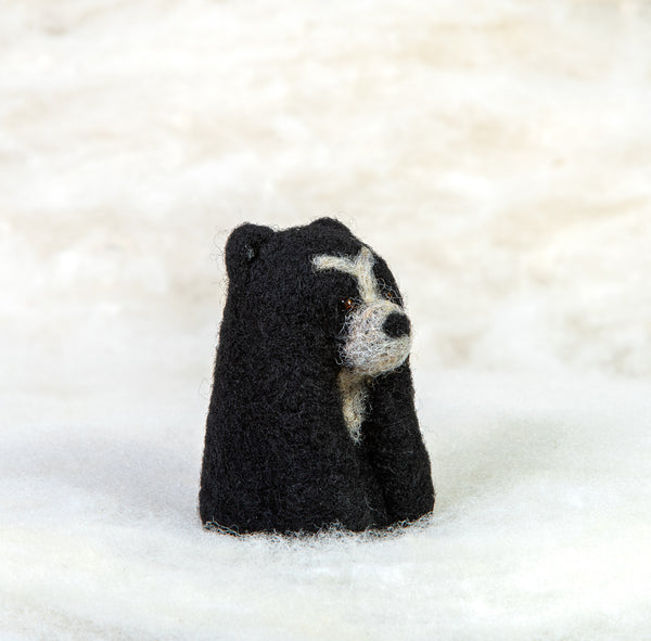 Spectacled Bear Ornament