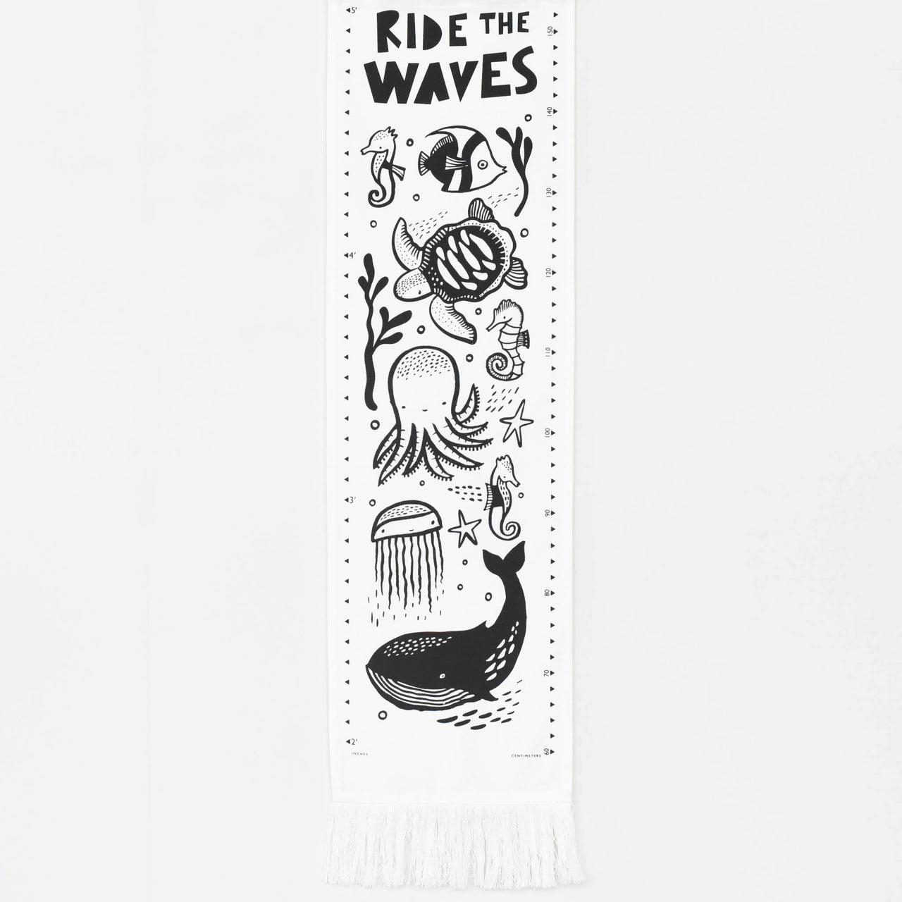 Ocean Canvas Growth Chart