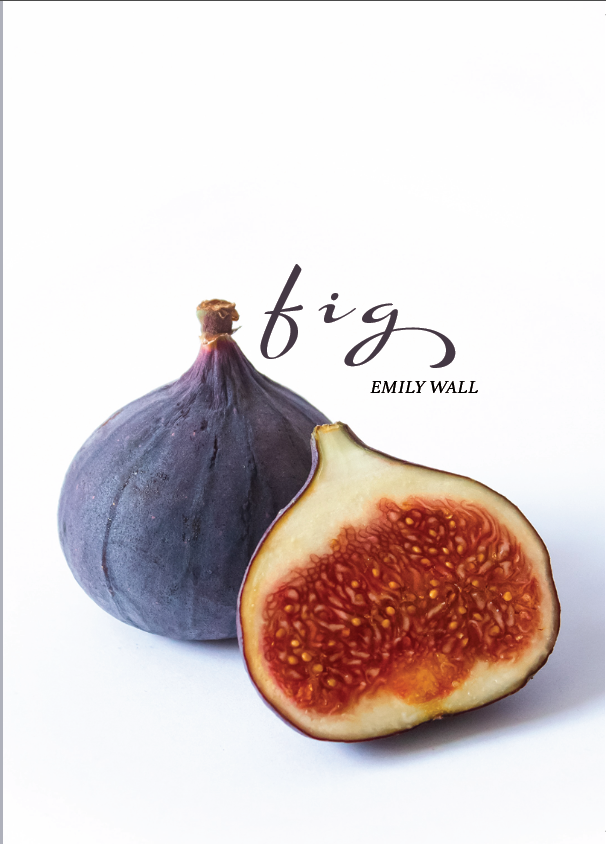 Fig by Emily Wall