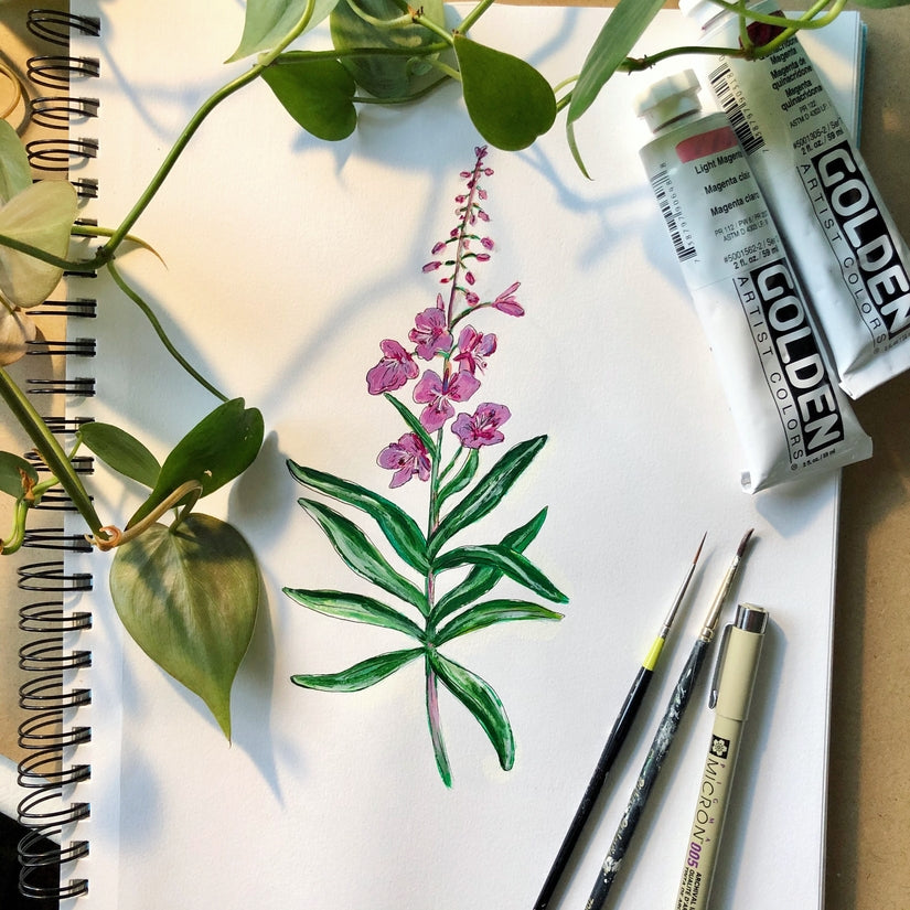 Fireweed Sticker